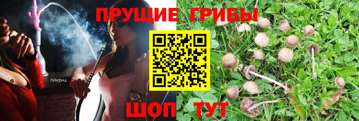 Галлюциногенные грибы MAGIC MUSHROOMS Сухой Лог