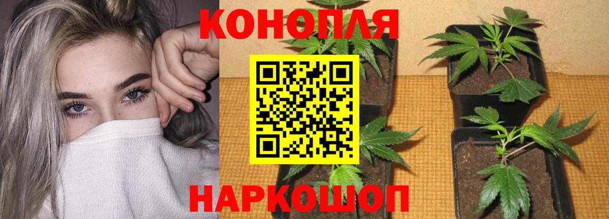 Каннабис AK-47 Сухой Лог